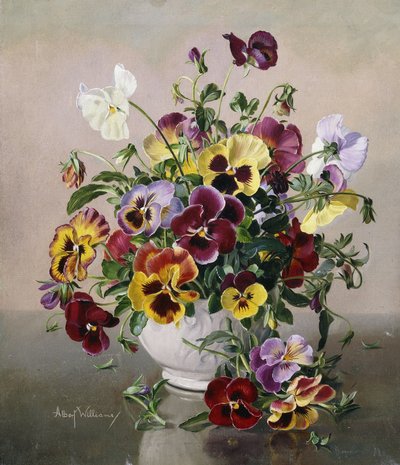 A Still Life with Pansies by Albert Williams