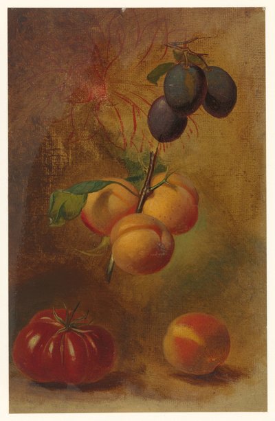 Still Life with Plums, Apricots, and Tomato by Albertus Steenbergen