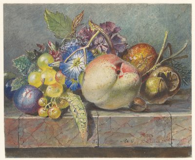 Fruit and Flower Still Life by Albertus Steenbergen