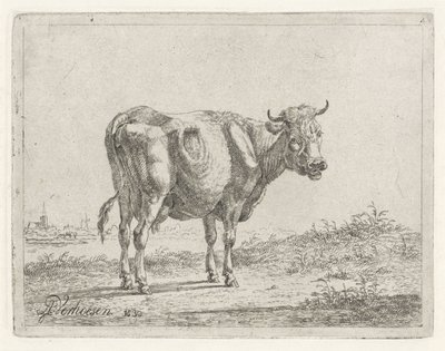 Standing Cow by Albertus Verhoesen