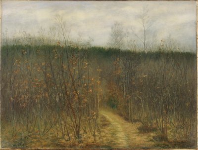 Coppice at Sint-Martens-Latem by Albijn Van den Abeele