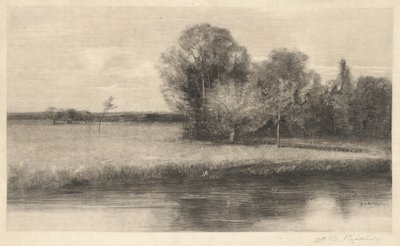 A Sun-dappled Meadow by a River by Albion Bicknell