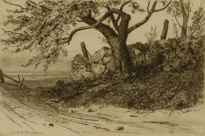 Country Road by Albion Harris Bicknell