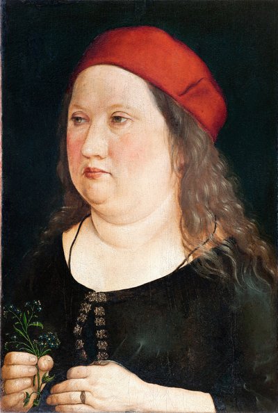 Unknown sitter by Albrecht (attr. to) Durer or Duerer