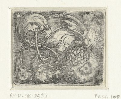 Pomegranate and Foliage by Albrecht Altdorfer