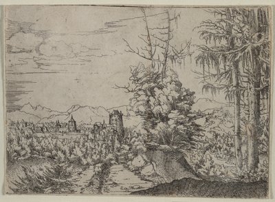 Landscape with Two Pines by Albrecht Altdorfer