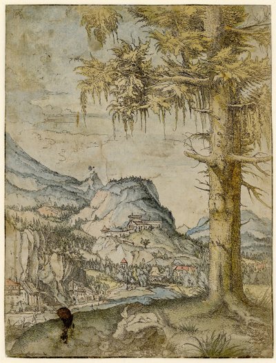 Large Spruce by Albrecht Altdorfer