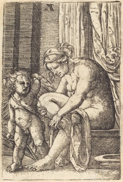 Venus after the Bath by Albrecht Altdorfer