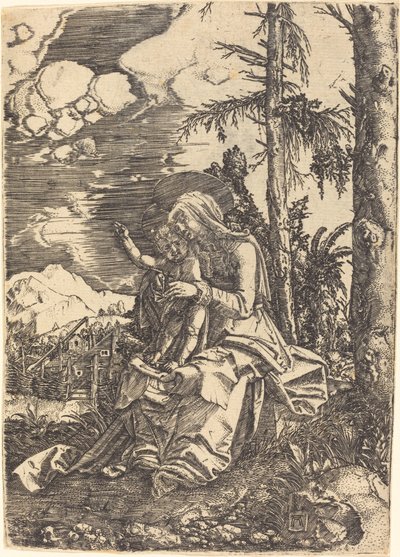 Virgin in a Landscape by Albrecht Altdorfer