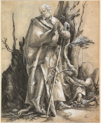 Bearded Saint in a Forest by Albrecht Dürer