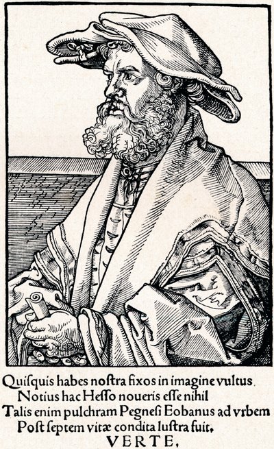 Eobanus Hesse by Albrecht Dürer