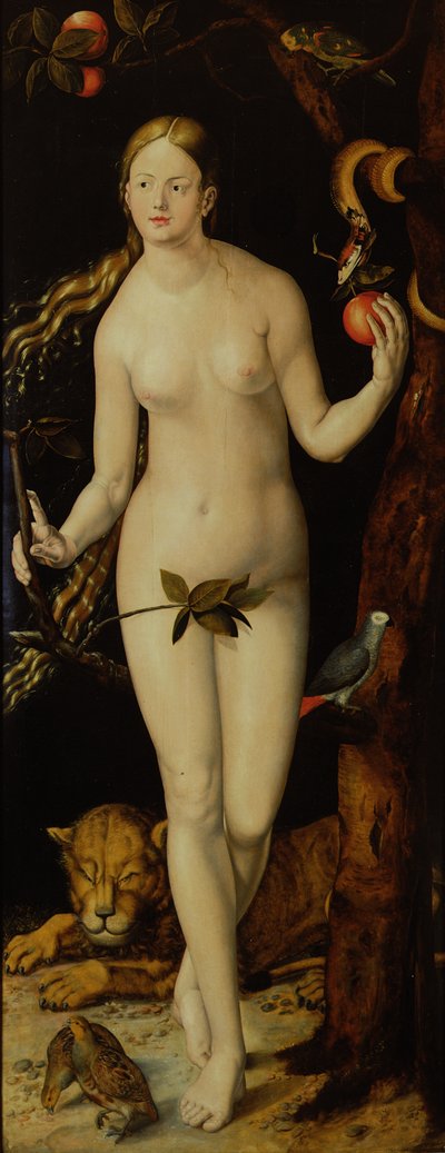 Eve by Albrecht Dürer