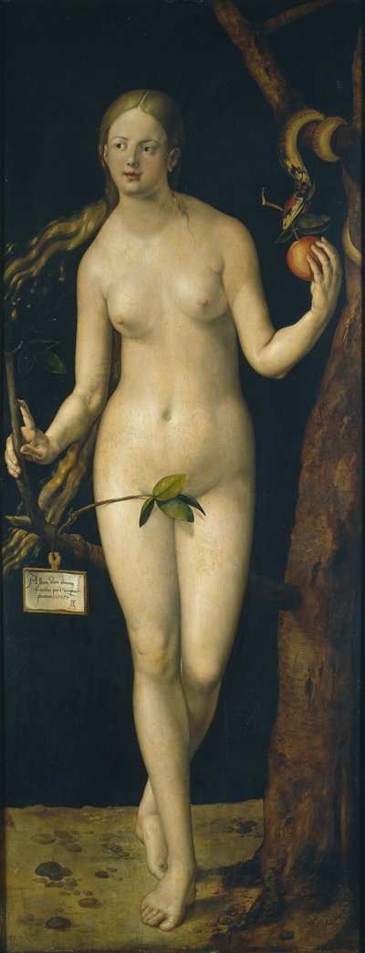 Eve, 1507 by Albrecht Dürer