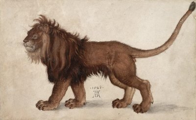 Lion by Albrecht Dürer