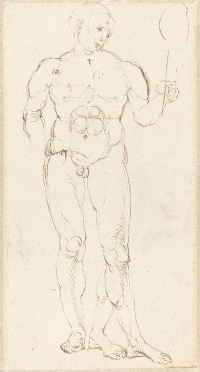 Male Nude Holding a Mirror by Albrecht Dürer