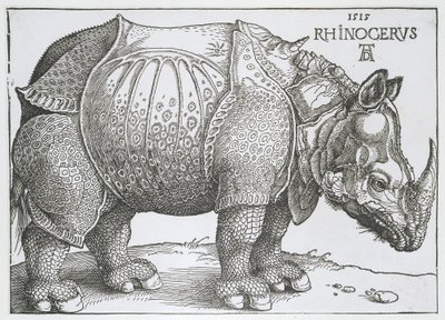 Rhinoceros by Albrecht Dürer