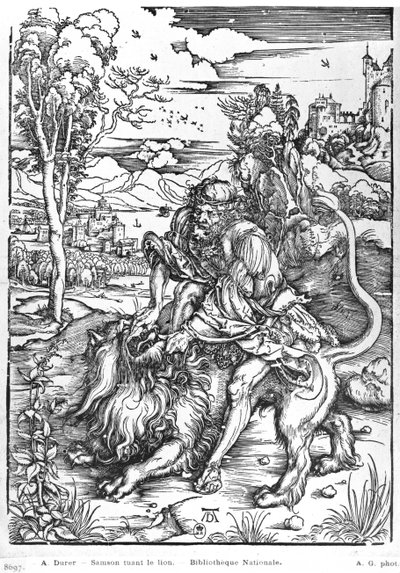 Samson slaying the lion by Albrecht Dürer