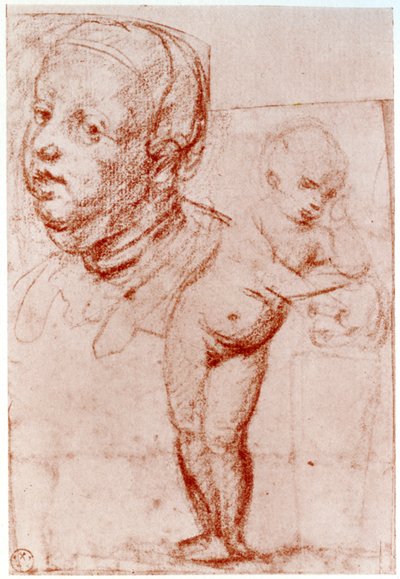Studies, 1913 by Albrecht Dürer