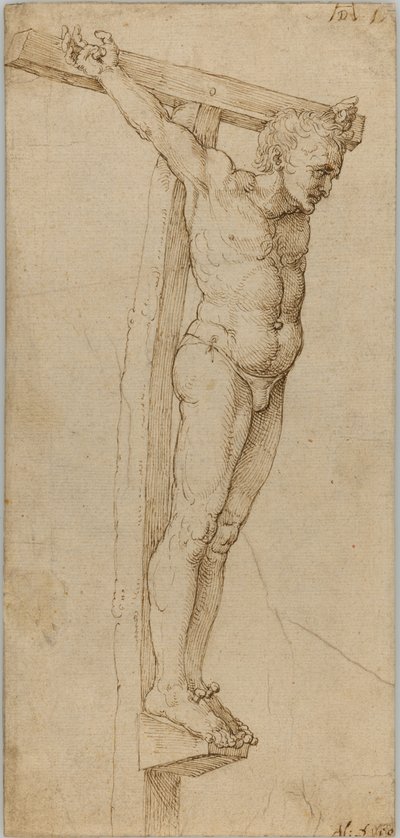 Study of the Good Thief by Albrecht Dürer