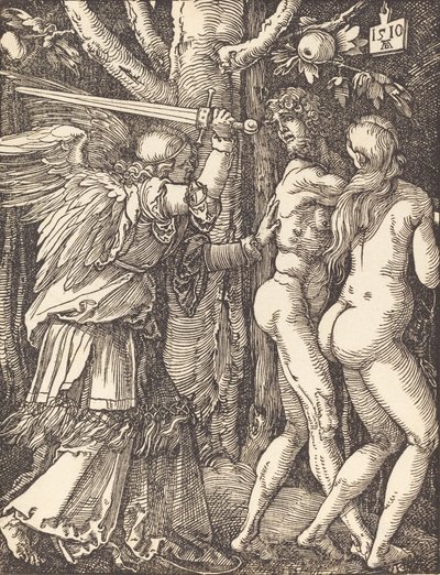 The Expulsion from Paradise by Albrecht Dürer