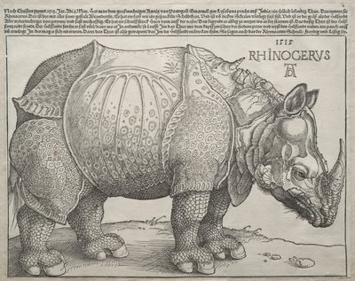 The Rhinoceros, 1515 by Albrecht Dürer