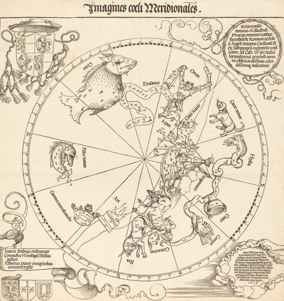 The Southern Celestial Hemisphere by Albrecht Dürer