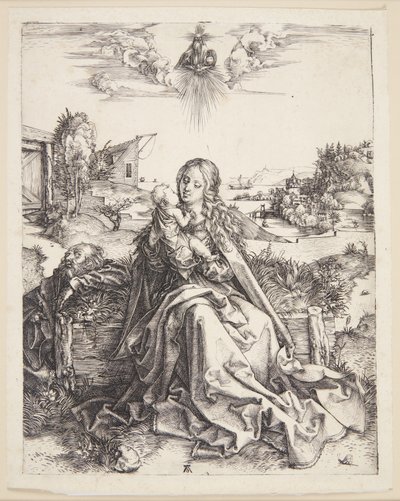 The Virgin with the Dragonfly by Albrecht Dürer