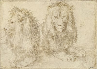 Two Seated Lions, 1521 by Albrecht Dürer