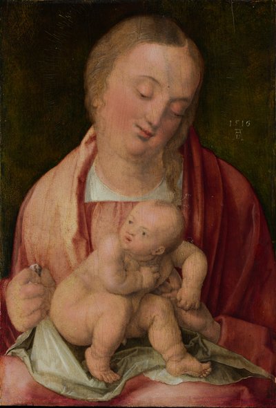 Virgin and Child by Albrecht Dürer