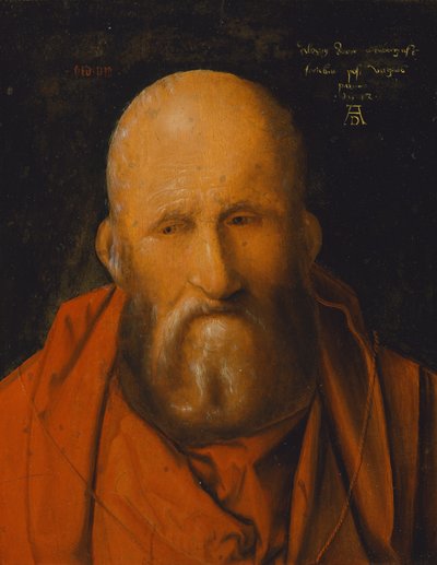 Saint Jerome by Albrecht Dürer