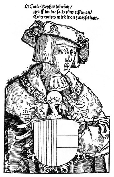Young Charles V by Albrecht Dürer