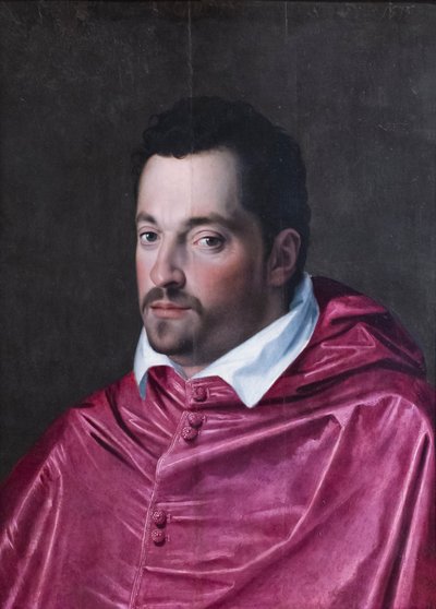Portrait of Cardinal Ferdinando Medici by Alessandro Allori