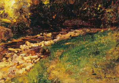 The creek by Alessandro Lupo