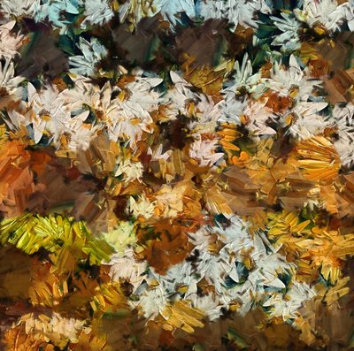 Camomile by Alex Caminker