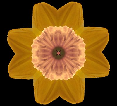 Symmetry by Alex Caminker