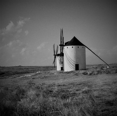 Untitled by Alex Caminker