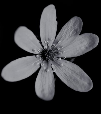 Untitled, 2019 by Alex Caminker