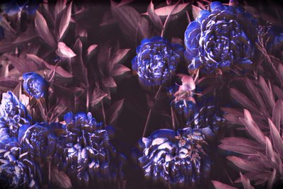 Blue Notes, 2019 by Alex Caminker