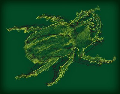 Bug by Alex Caminker