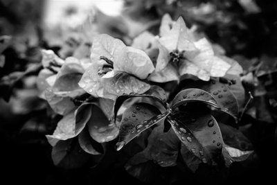 Cluster, 2019 by Alex Caminker