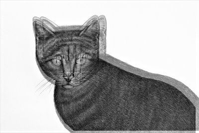 Electric Cat by Alex Caminker