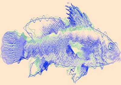 Fish IV by Alex Caminker