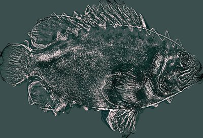 Fish in Green by Alex Caminker