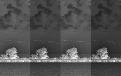 Musical Segments, 2019 by Alex Caminker