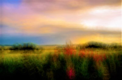 Palette by Alex Caminker