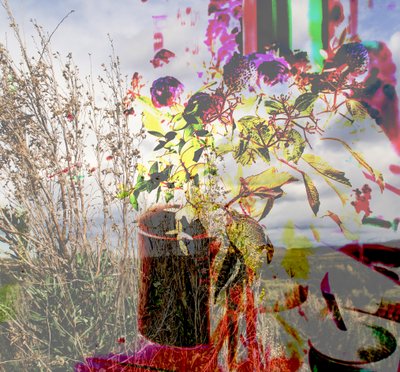Still life, 2019 by Alex Caminker