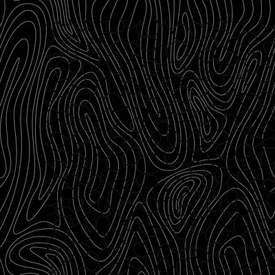 Tree Rings by Alex Caminker