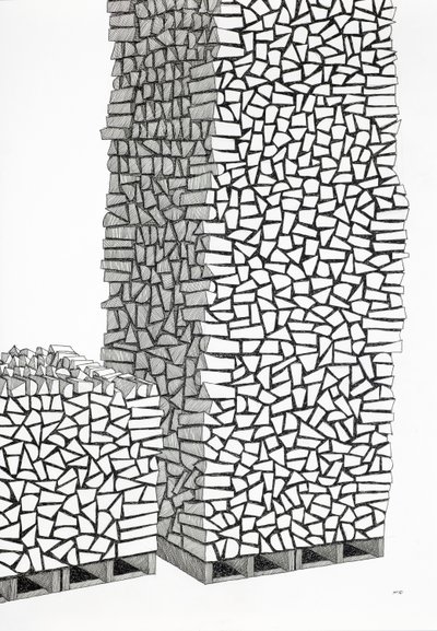 Firewood Pallets Fantasy by Alex Dunn