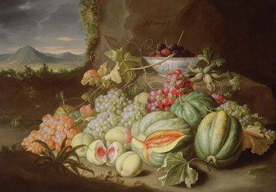 Still Life with Fruit by Alexander Coosemans