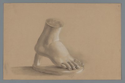 Plaster Model of a Foot by Alexander Cranendoncq